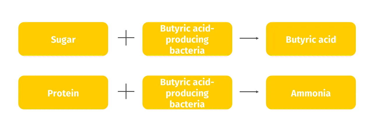 JOSERA The smell of rancid milk or rotten eggs