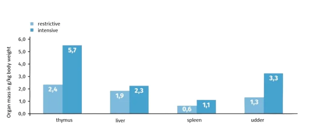 JOSERA table shows organ mass of calves