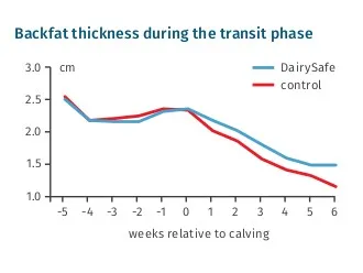 JOSERA graphic shows backfat thickness during the transit phase