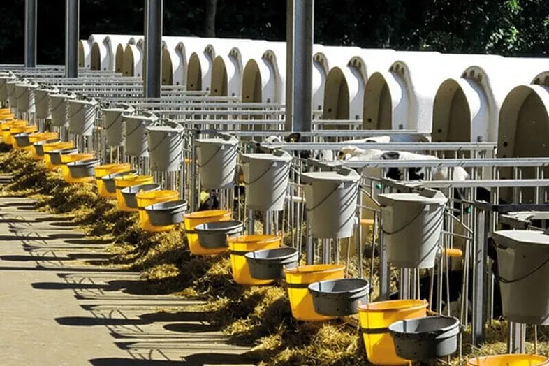 JOSERA igloos of calves in a row