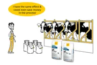 Propylene glycol for cattle – sensible or expensive luxury?