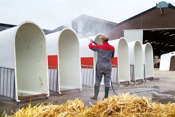 JOSERA igloo of calves during cleaning