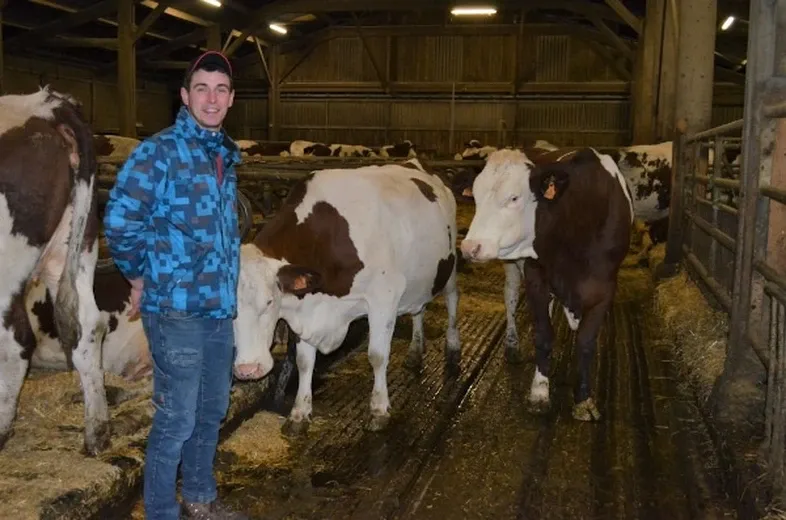 JOSERA customer in barn with cows
