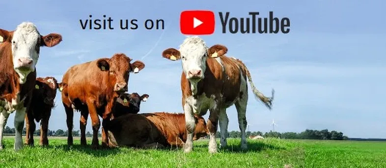 JOSERA Youtube slider