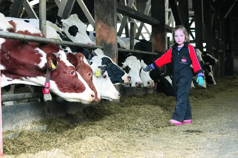 JOSERA child standing in the stable near cows