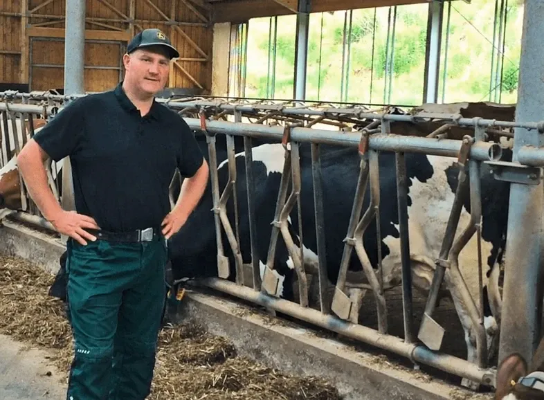 Farmer in the cowshed while cows are eating their silage.