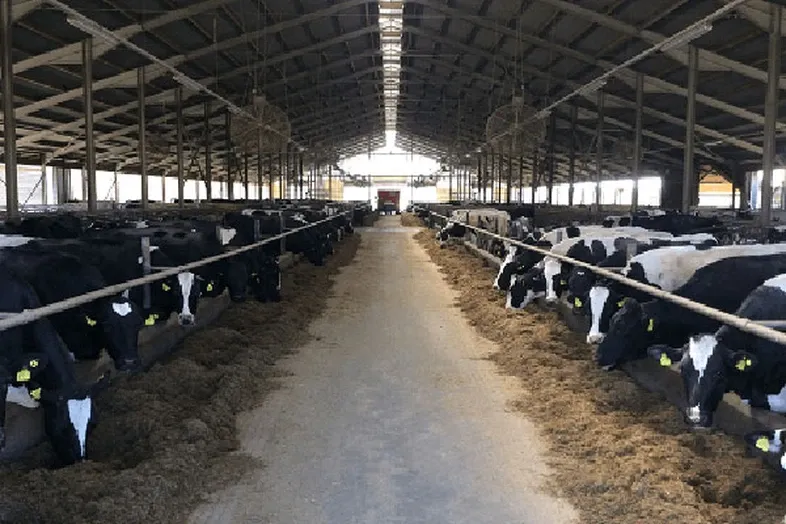 JOSERA Cattle in the stable