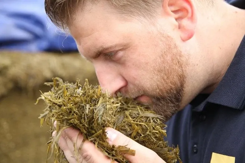 JOSERA Grass silage