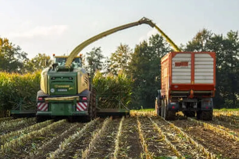 JOSERA Maize silage