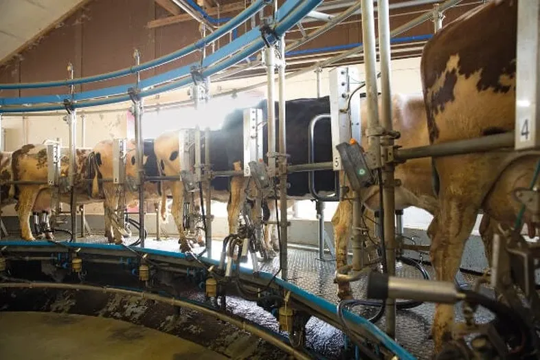 JOSERA Milk yield optimization