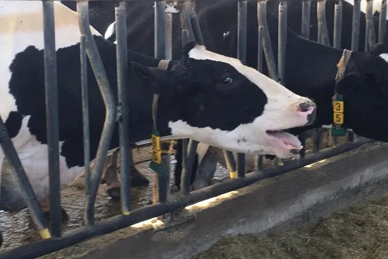 JOSERA Feed quality check