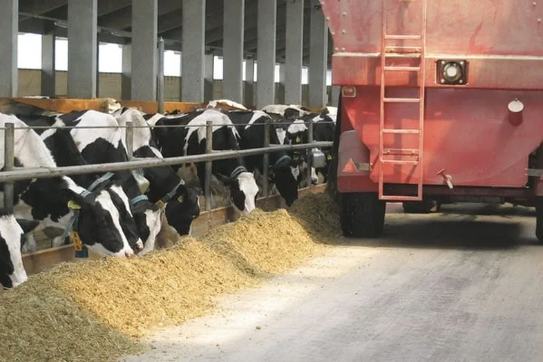 JOSERA Young cattle in the stable