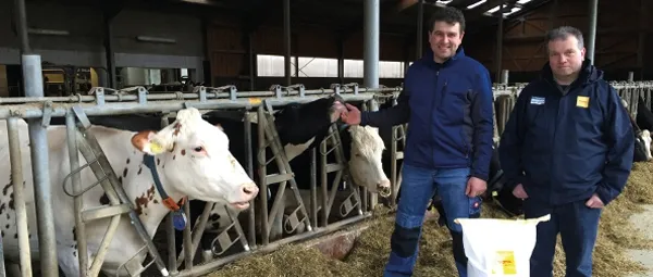 Josera Referenzen Rind Neu JOSERA customer with consultant in the stable