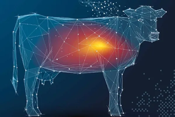 PERFORMANCE Linie JOSERA Performance cow