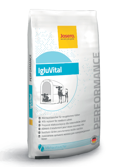 IgluVital