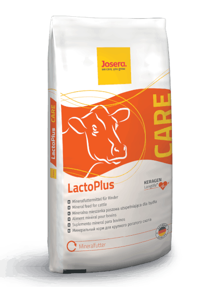 LactoPlus